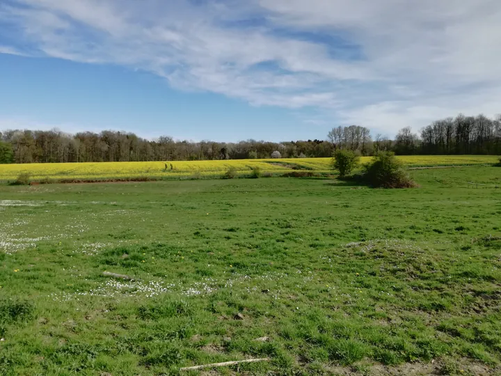 Les Lacs de l'eau d'Heure, Froidchapelle (België)